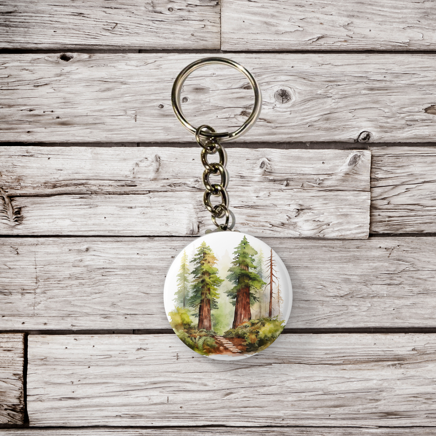 Redwood Forest 3 Pin Back Button, Magnet, Keychain