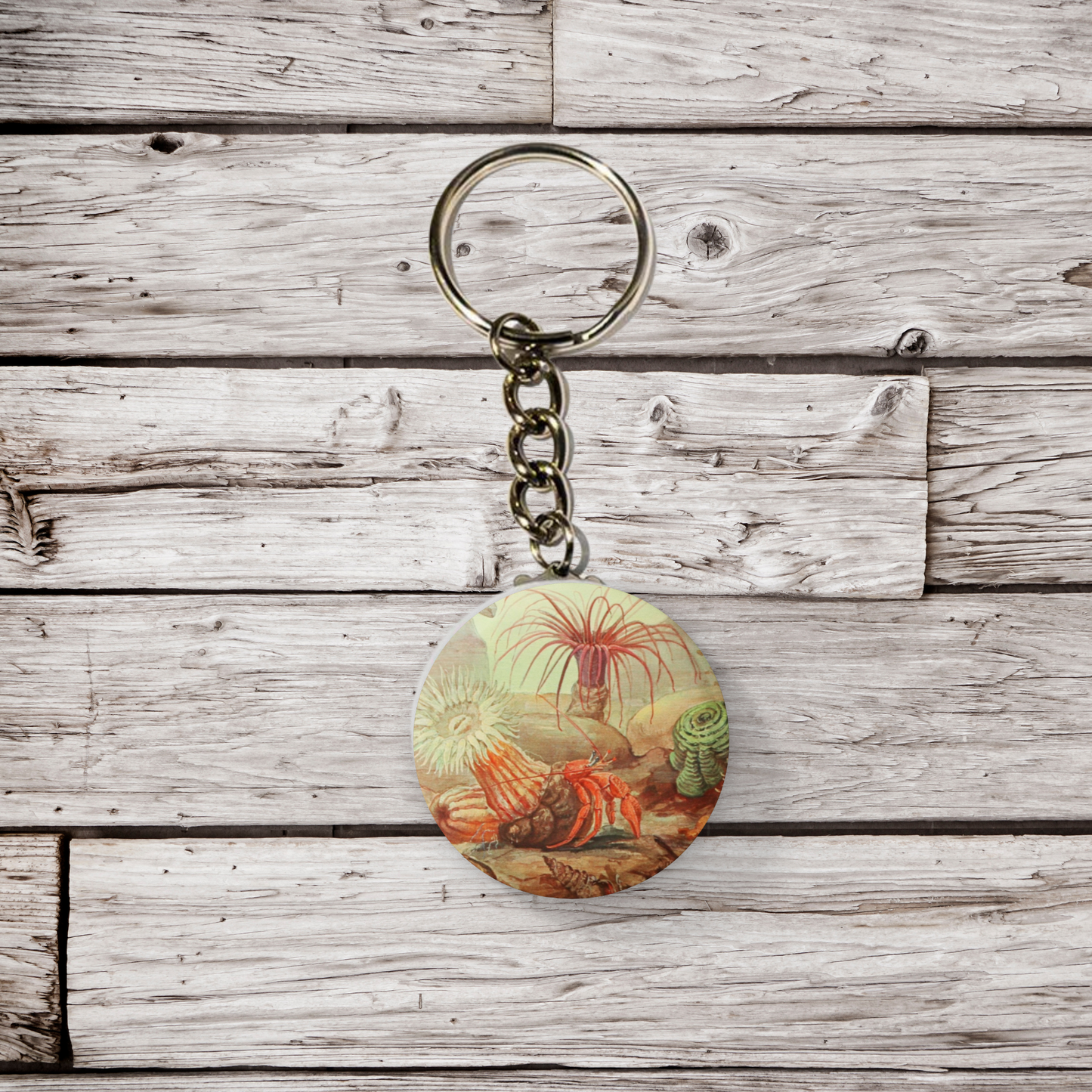 Hermit Crab Pin Back Button, Magnet, Keychain