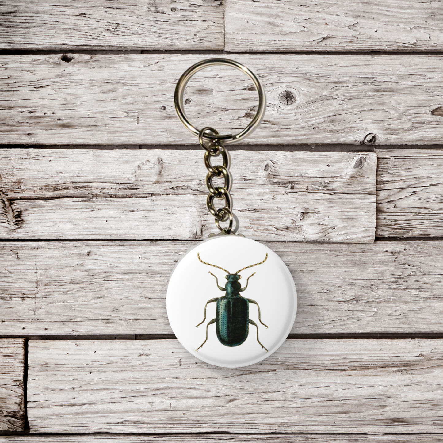 Beetle Pin Back Button, Magnet, Keychain