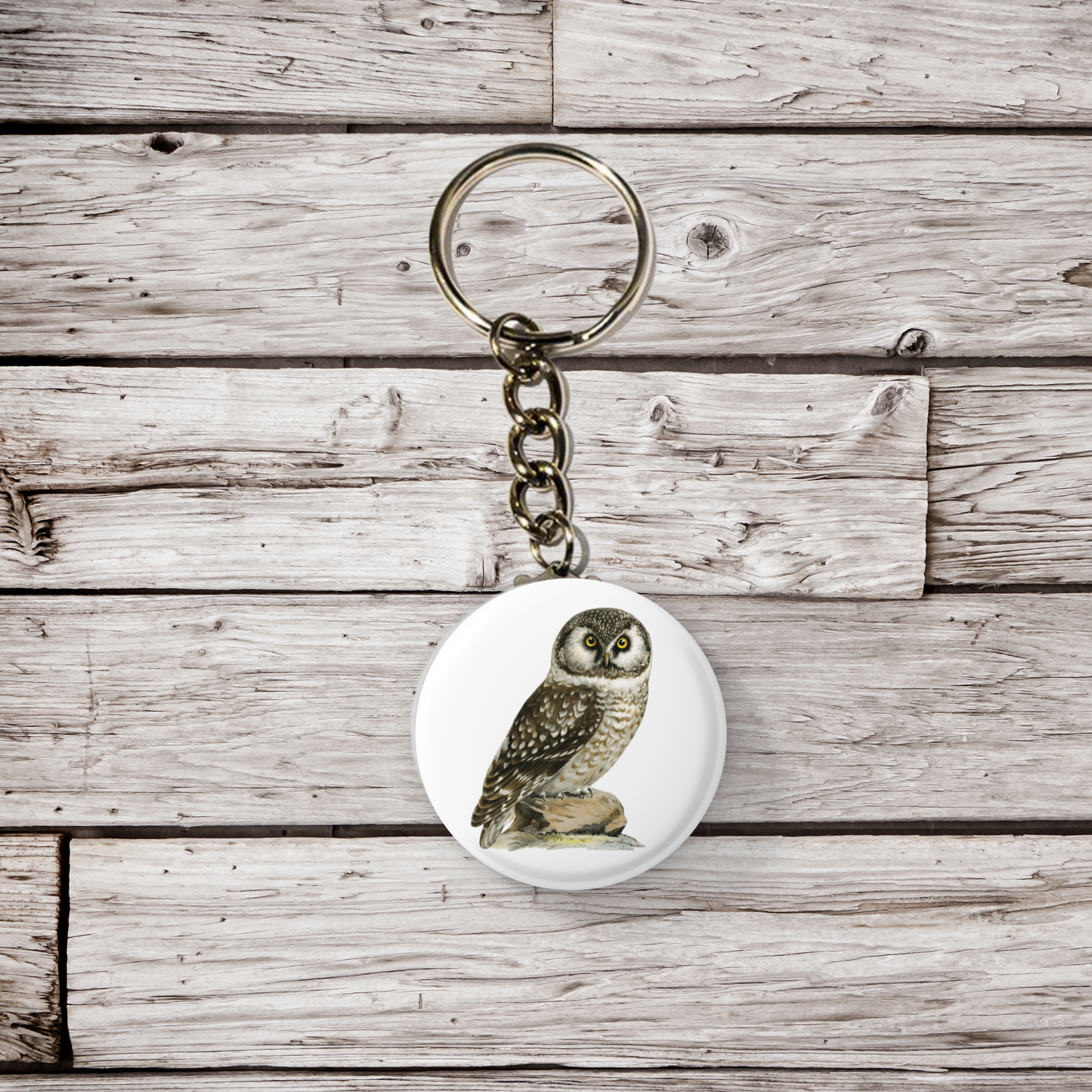 Boreal Owl Pin Back Button, Magnet, Keychain