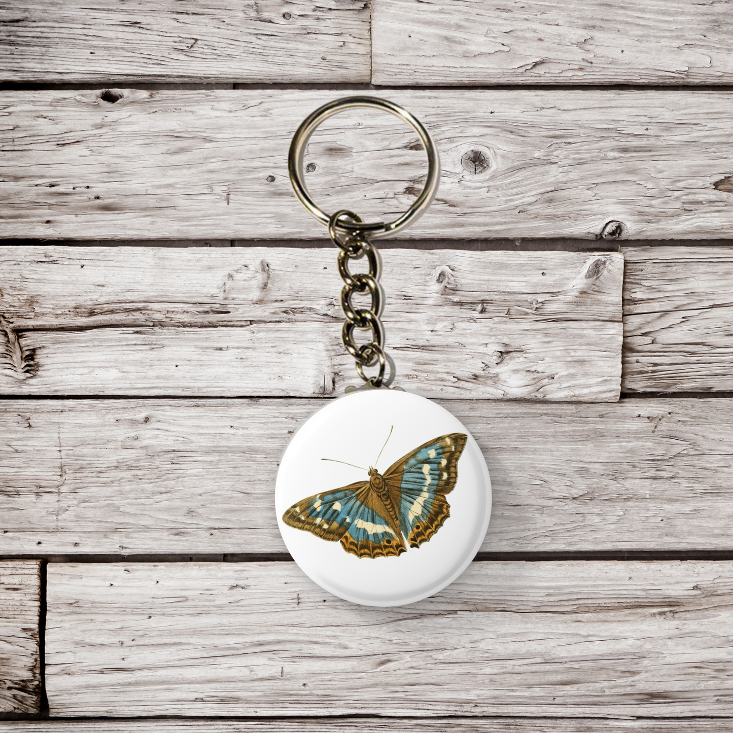 Butterfly Pin Back Button, Magnet, Keychain