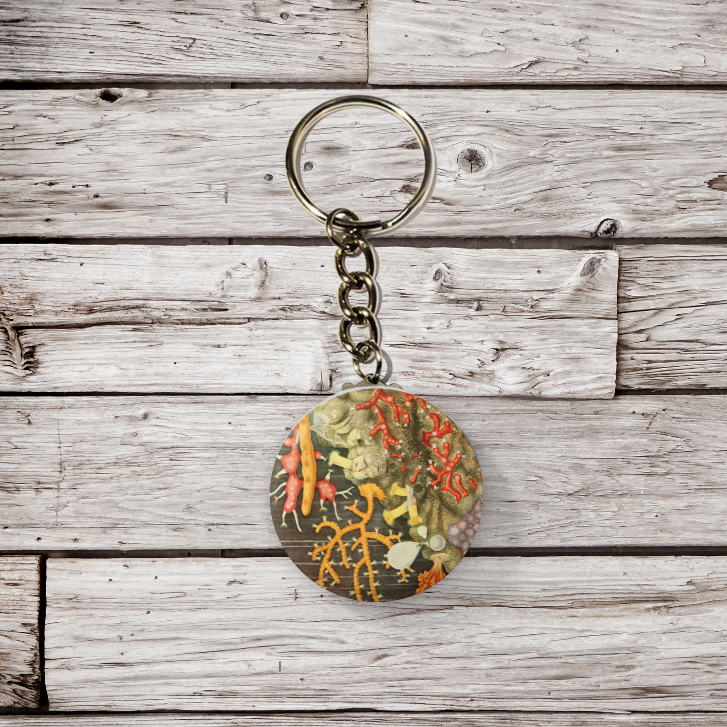 Reef Pin Back Button, Magnet, Keychain