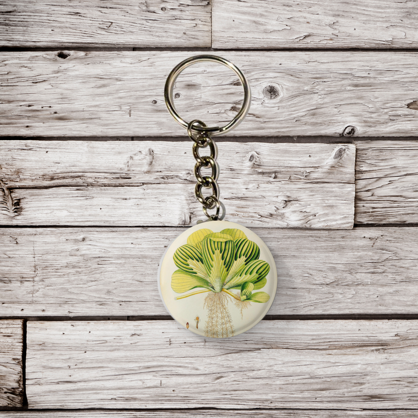 Duckweed Pin Back Button, Magnet, Keychain