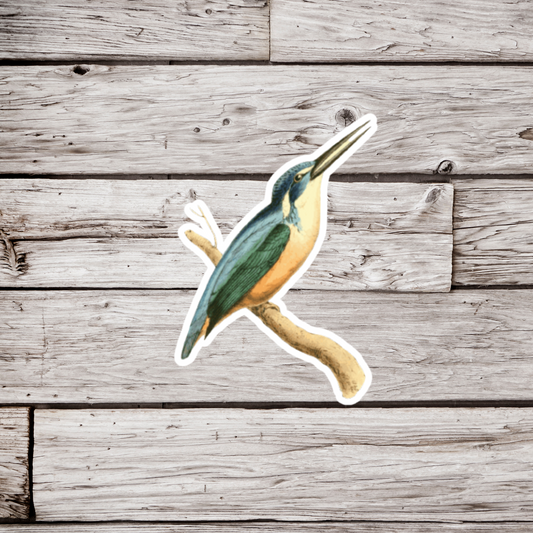 King Fisher Sticker