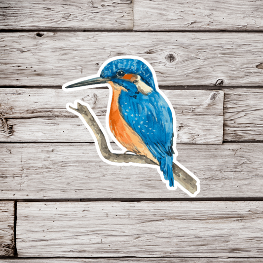 King Fisher Sticker