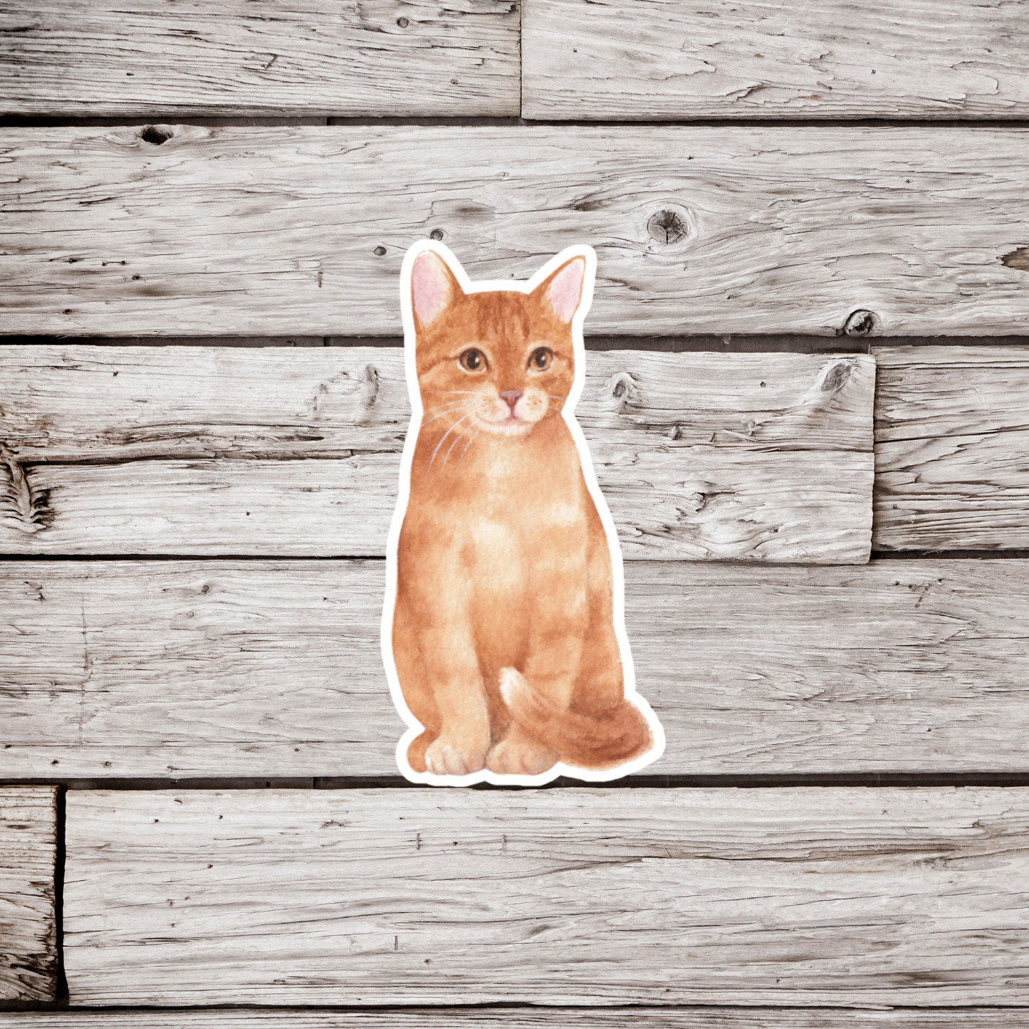 Kitten Sticker