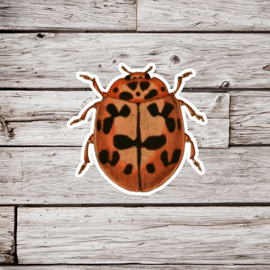 Lady Bug Sticker