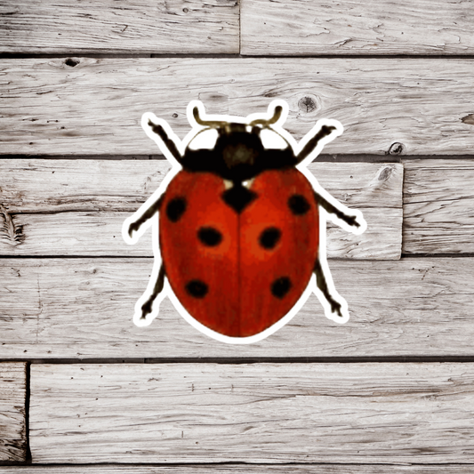 Lady Bug Sticker