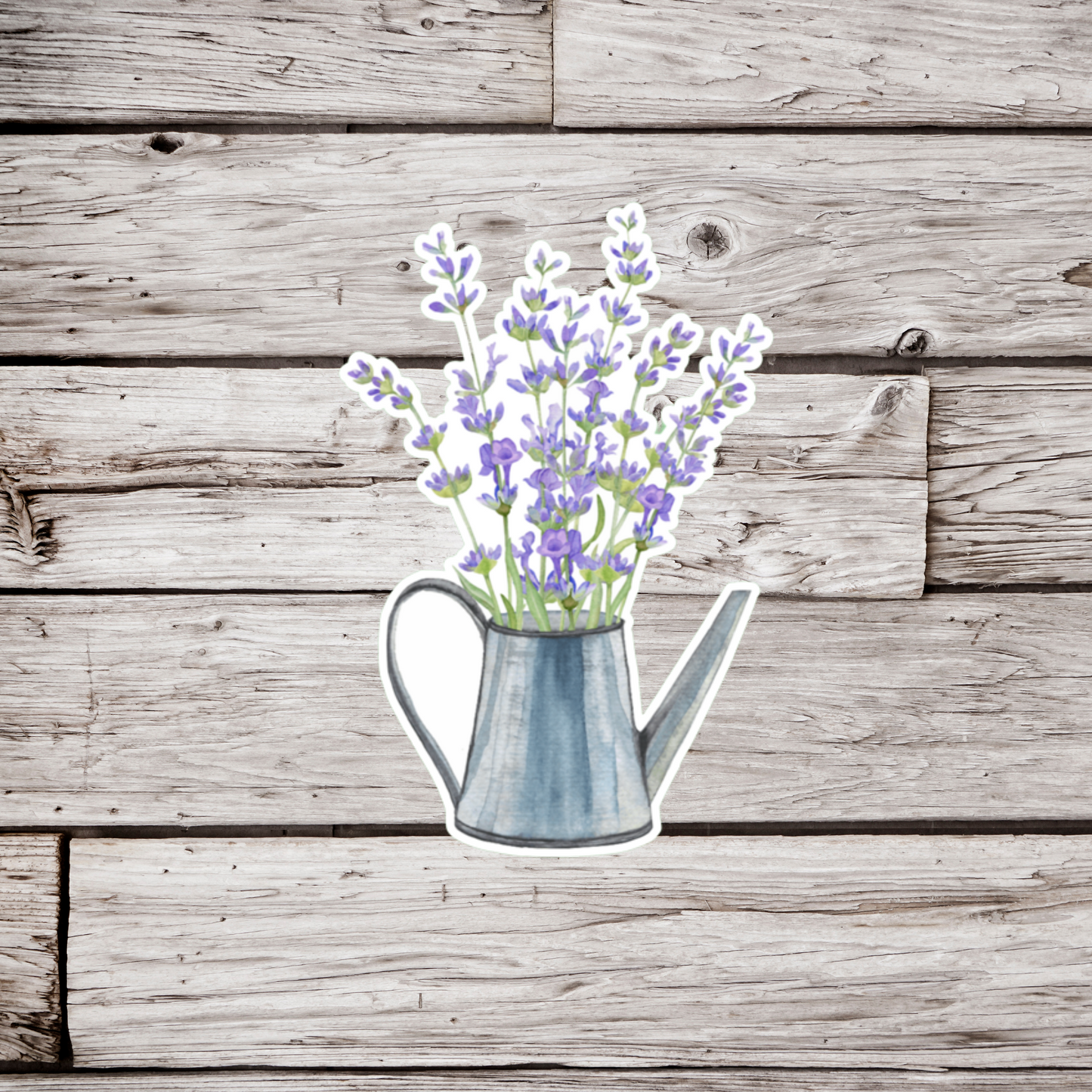 Lavender in Watering Can Sticker