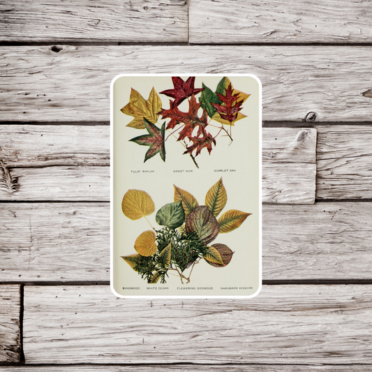 Fall Leaves Sticker