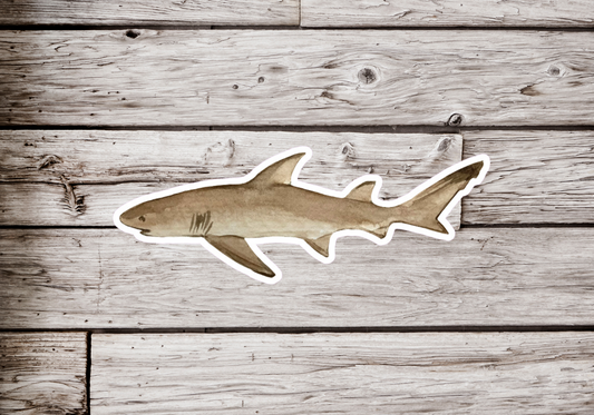 Lemon Shark Sticker