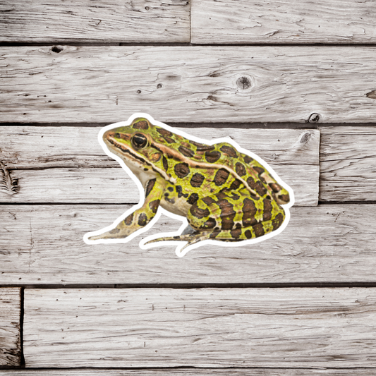 Leopard Frog Sticker