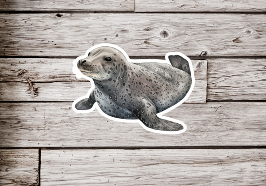 Leopard Seal Sticker