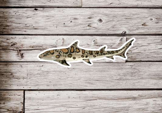 Leopard Shark Sticker