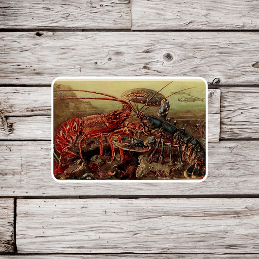 Lobster Sticker