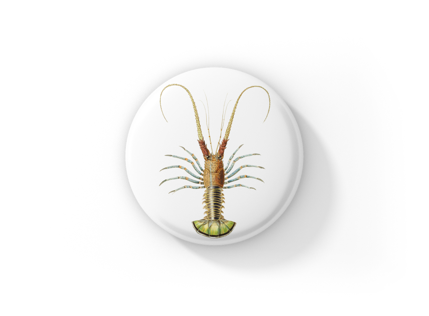 Lobster Pin Back Button, Magnet, Keychain