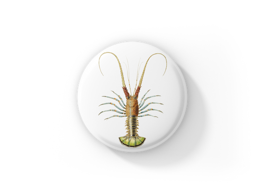 Lobster Pin Back Button, Magnet, Keychain