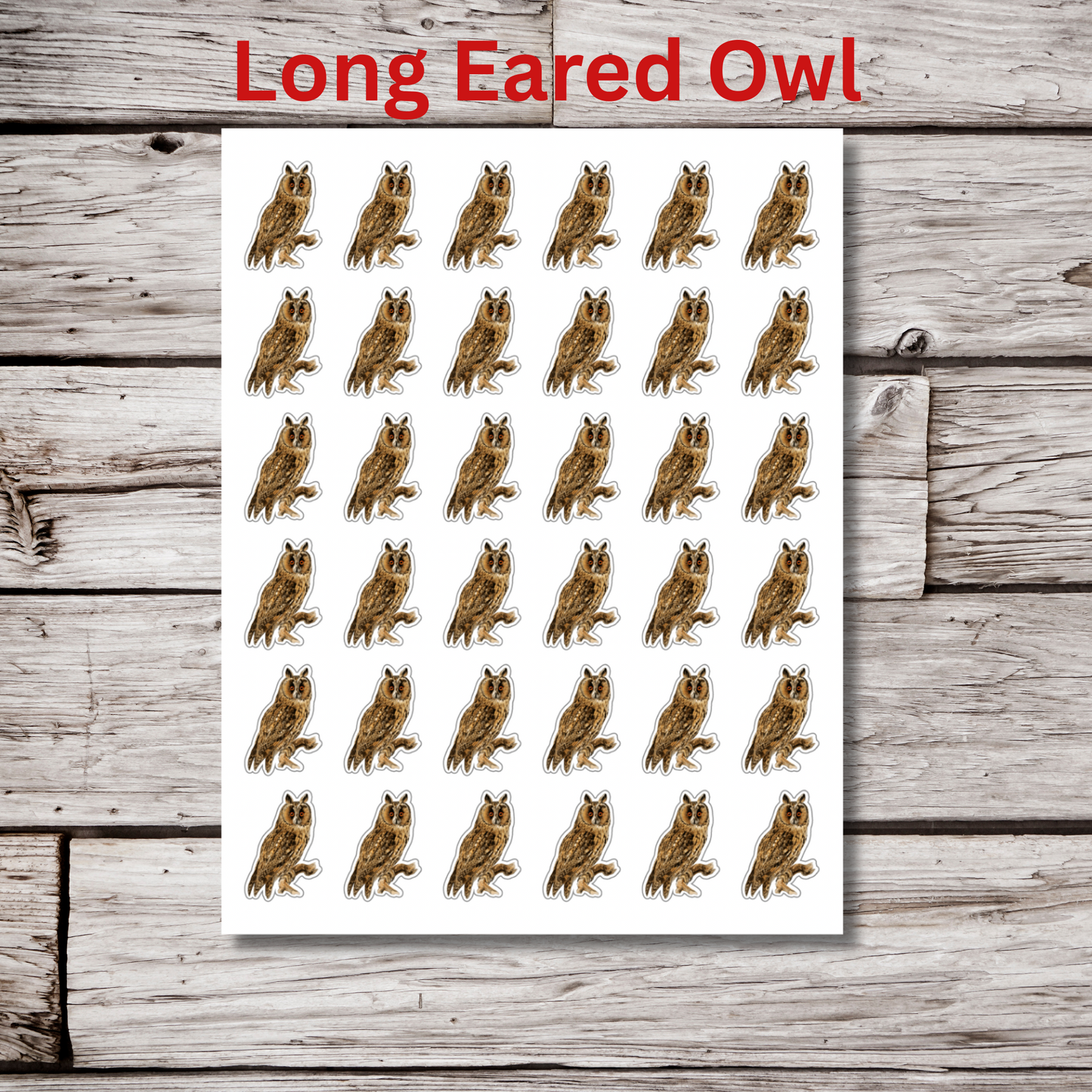 Owl Sticker Sheet