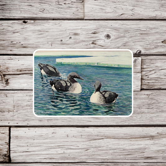 Loon Sticker