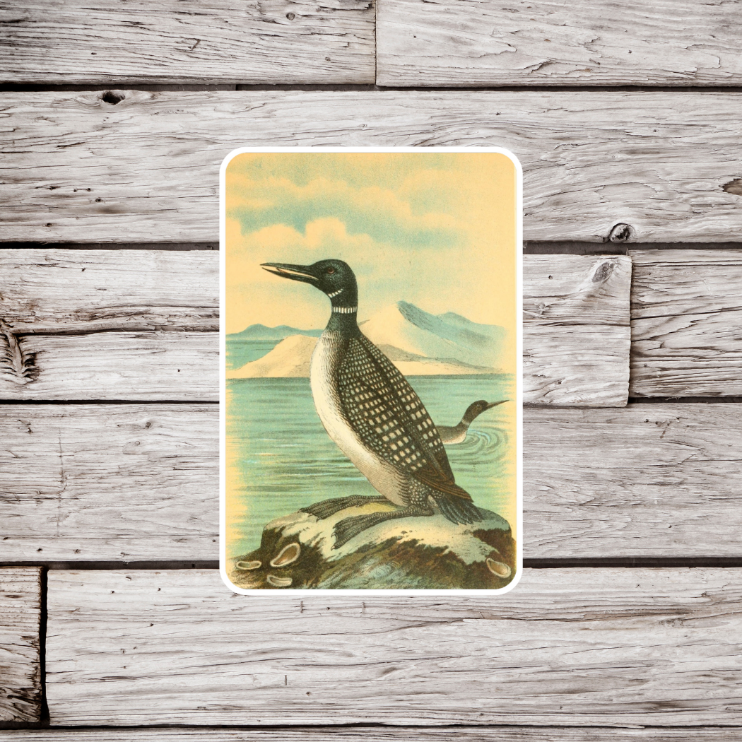 Loon Sticker