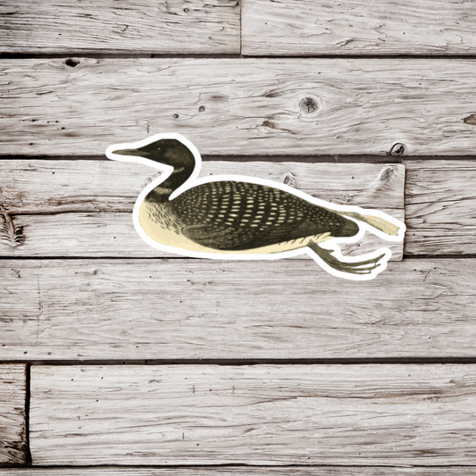 Loon Sticker