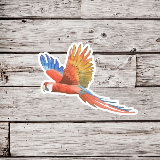 Macaw Sticker