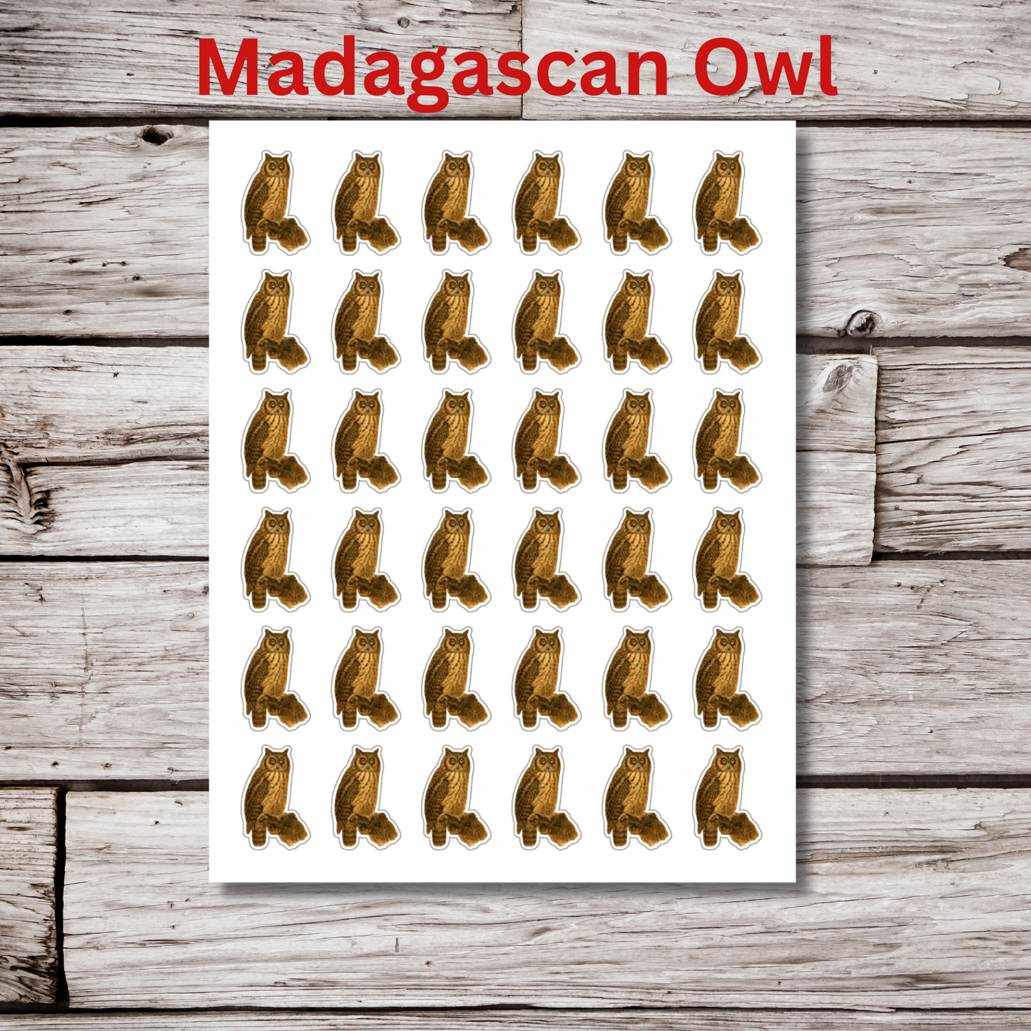 Owl Sticker Sheet
