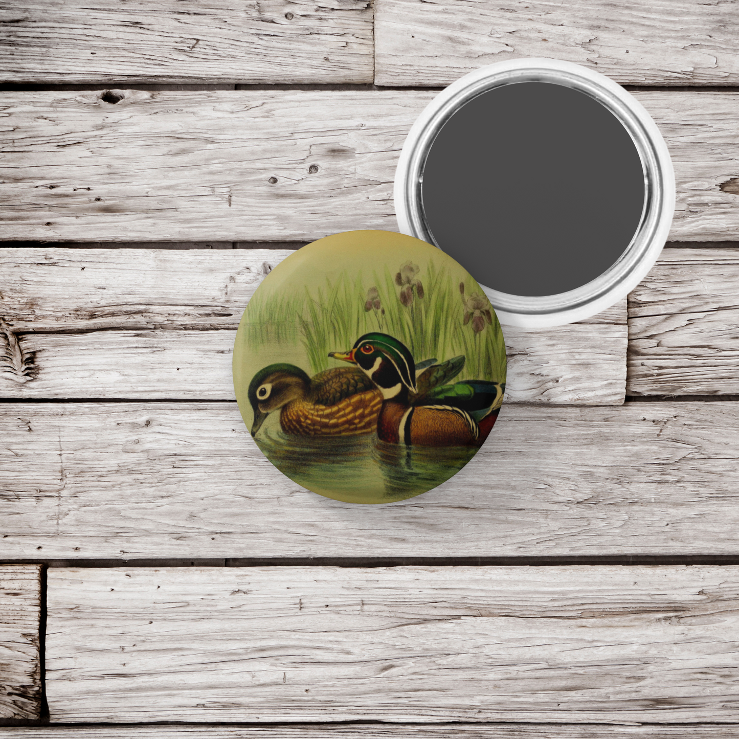 Wood Duck Pin Back Button, Magnet, Keychain