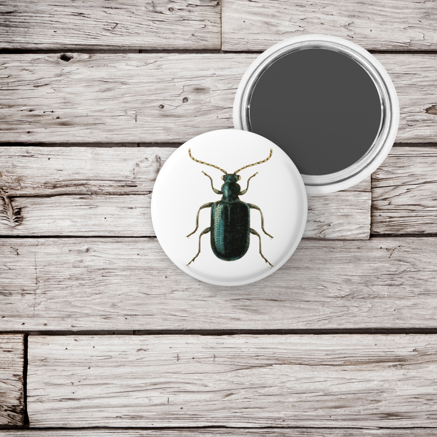 Beetle Pin Back Button, Magnet, Keychain