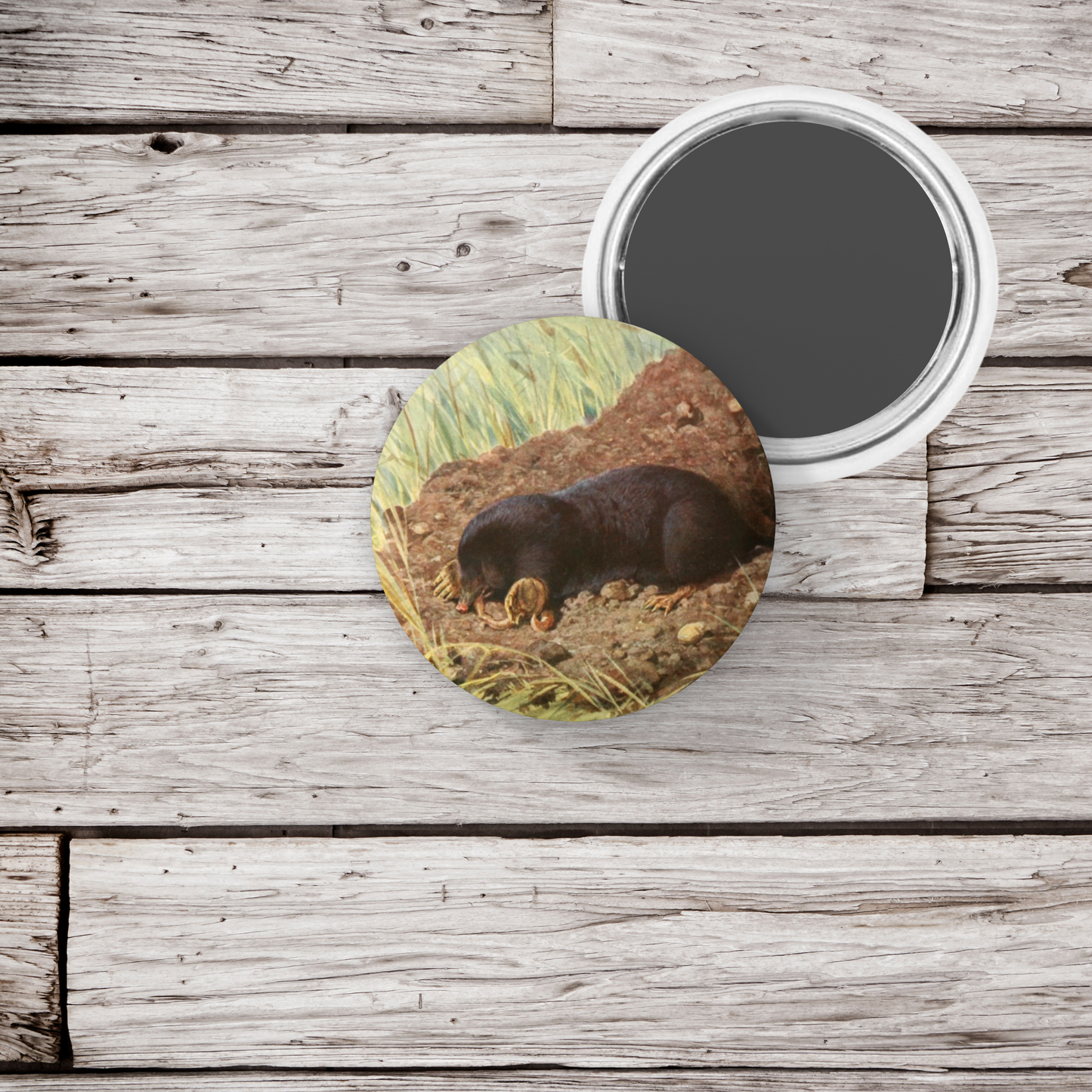 Mole Pin Back Button, Magnet, Keychain