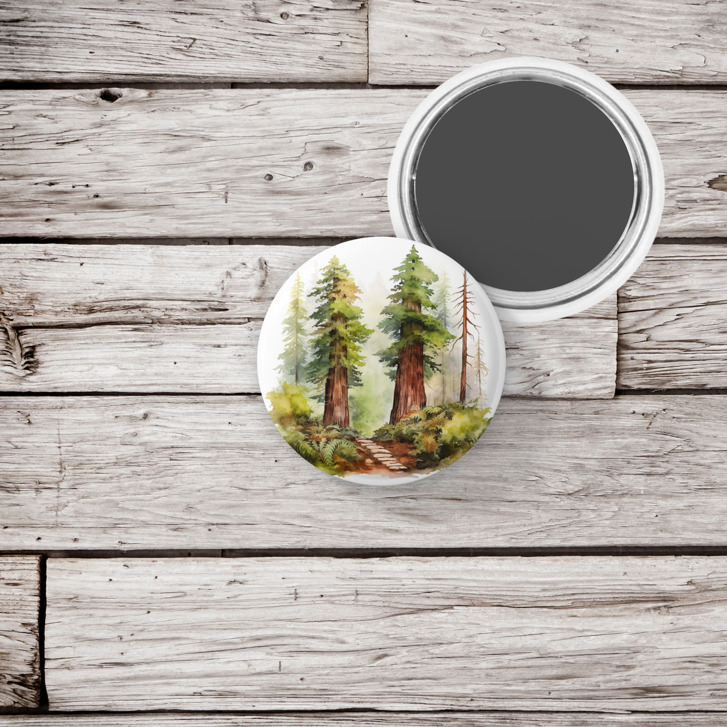 Redwood Forest 3 Pin Back Button, Magnet, Keychain