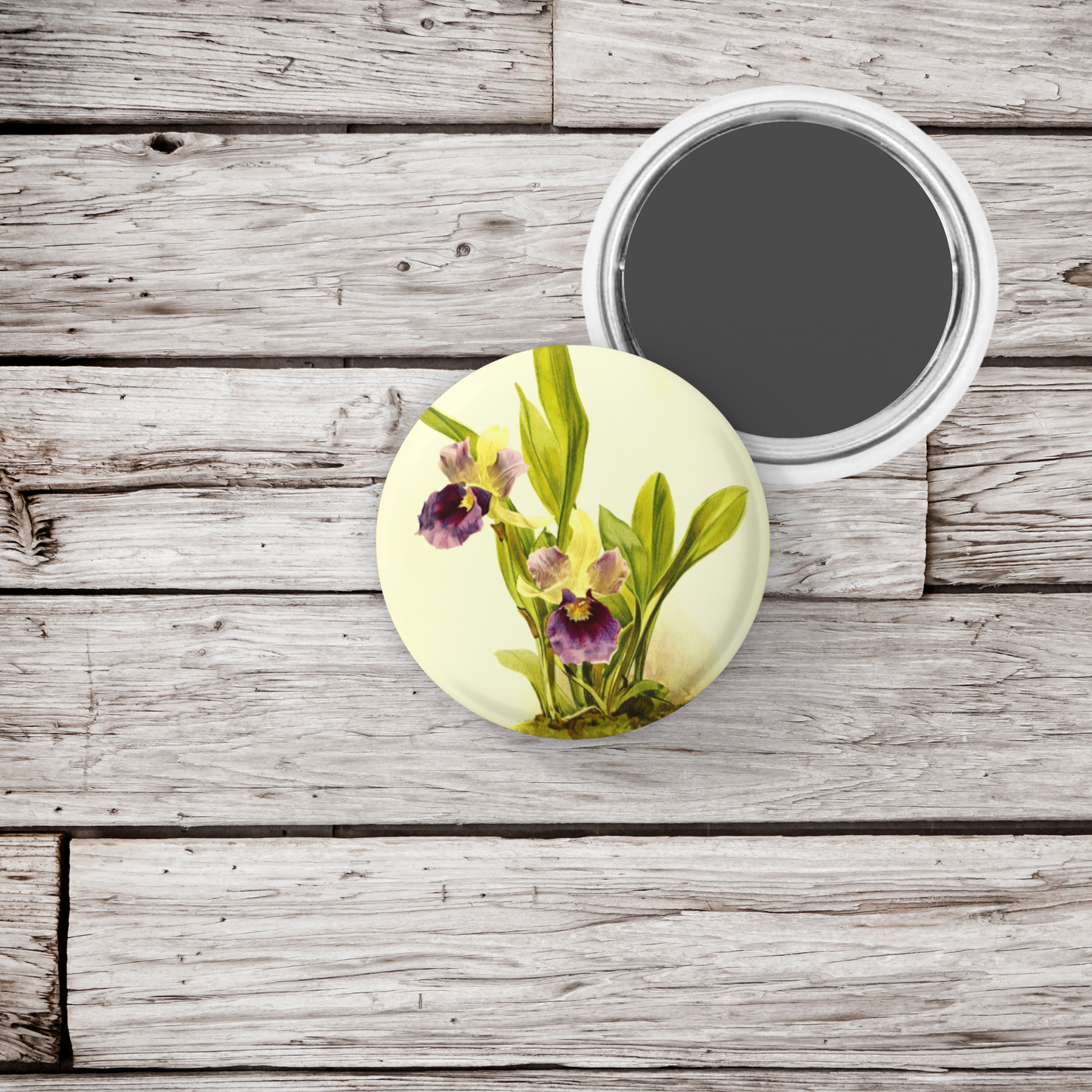 Zygopetalum Orchid Flower Orchid Pin Back Button, Magnet, Keychain