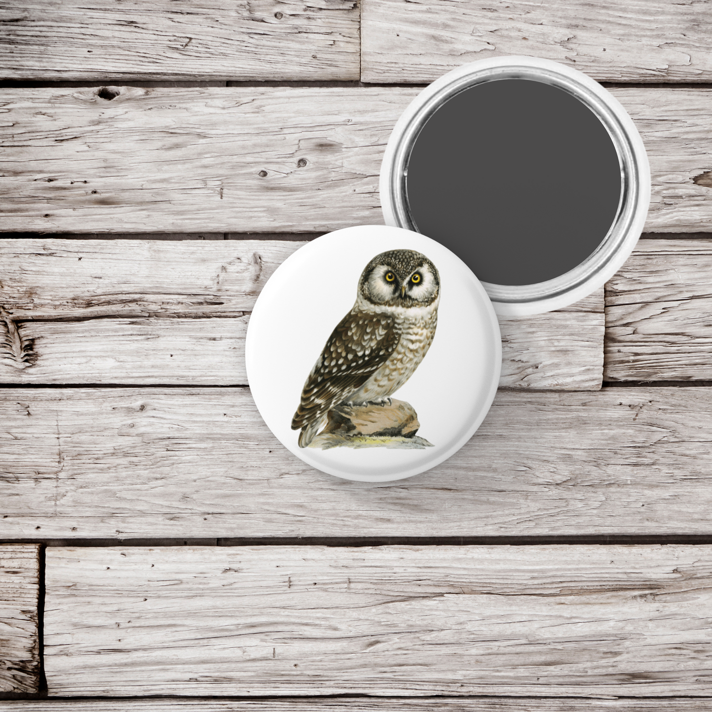 Boreal Owl Pin Back Button, Magnet, Keychain