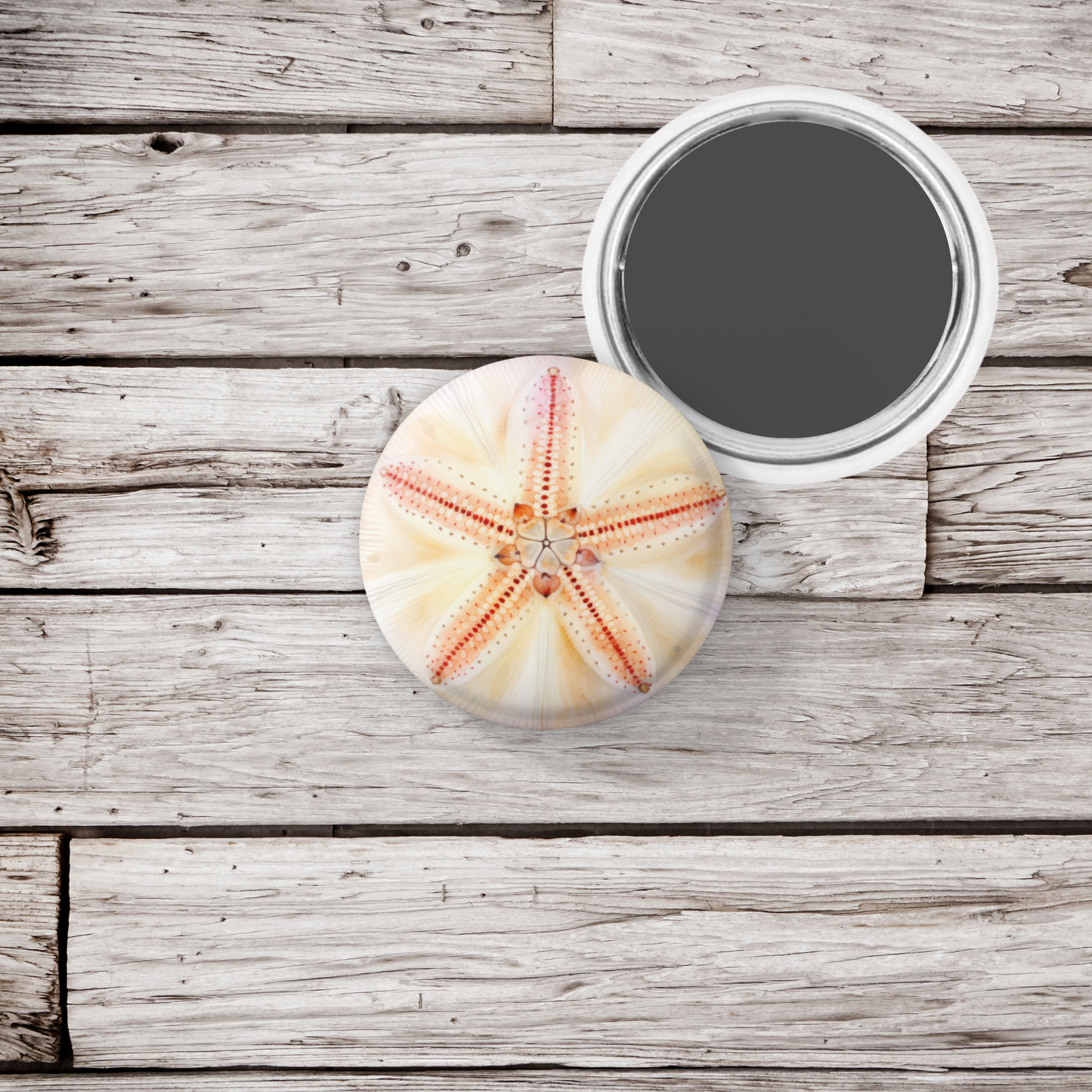 Sand Dollar Pin Back Button, Magnet