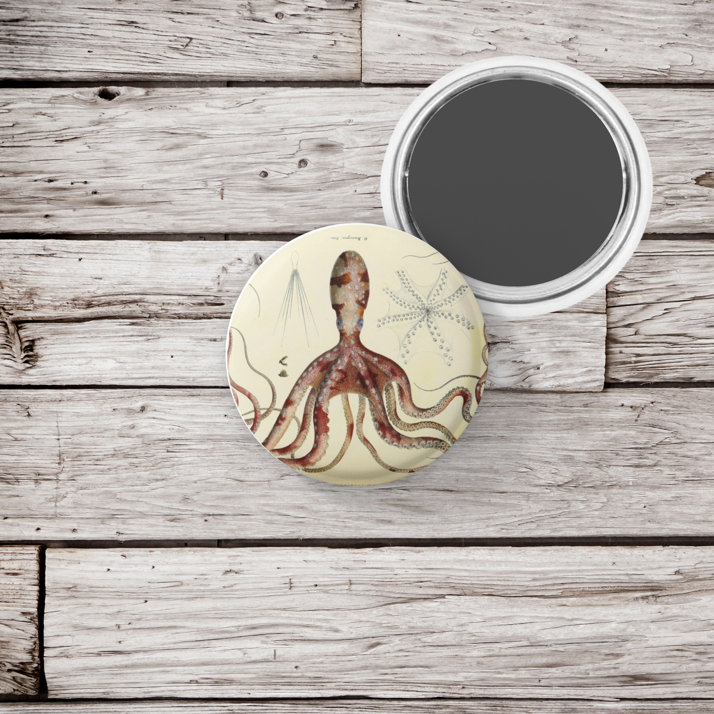 Octopus Pin Back Button, Magnet, Keychain