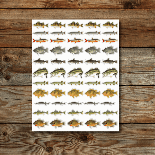 Lake Fish Sticker Sheet