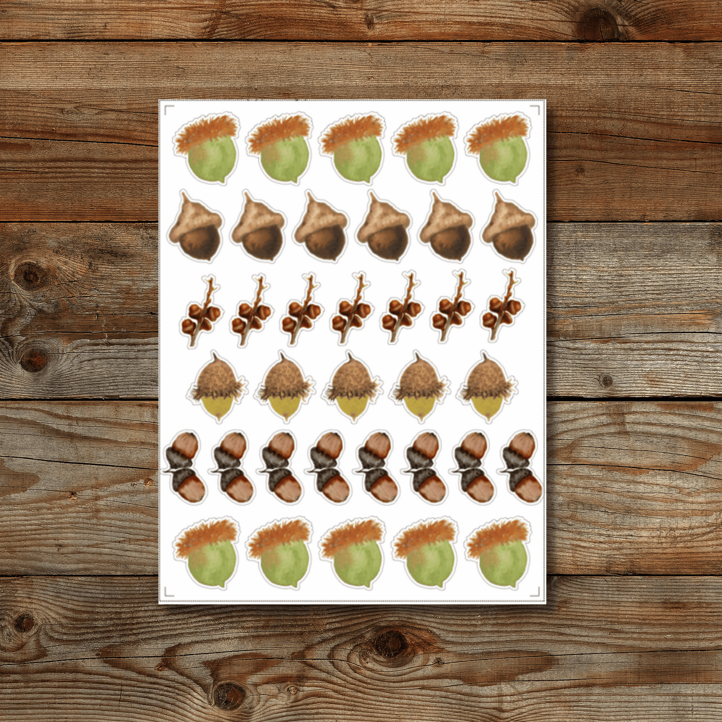 Acorn Sticker Sheet