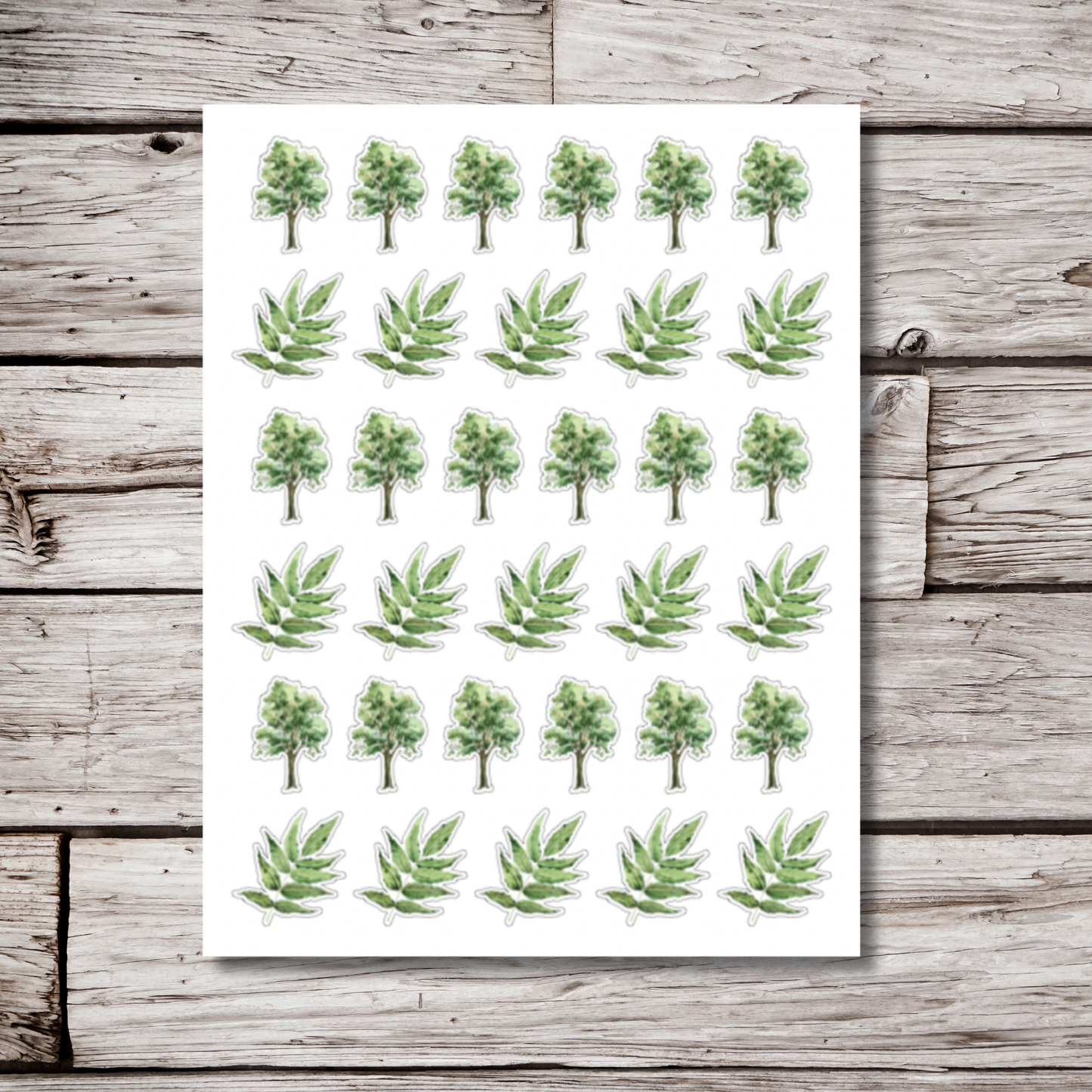 Ash Tree & Leaf Sticker Sheet