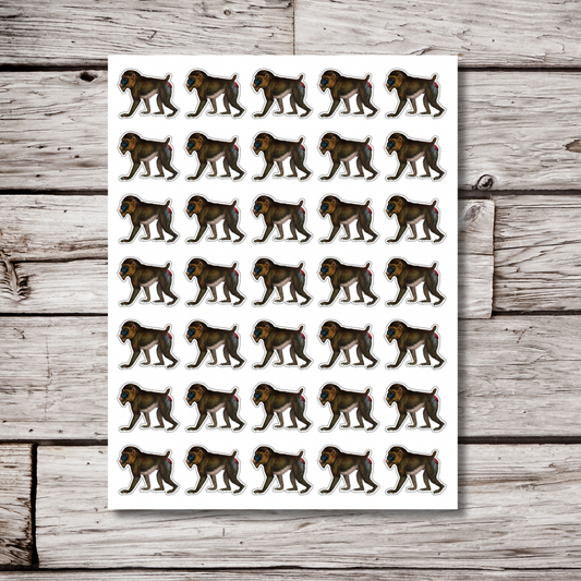 Baboon Sticker Sheet