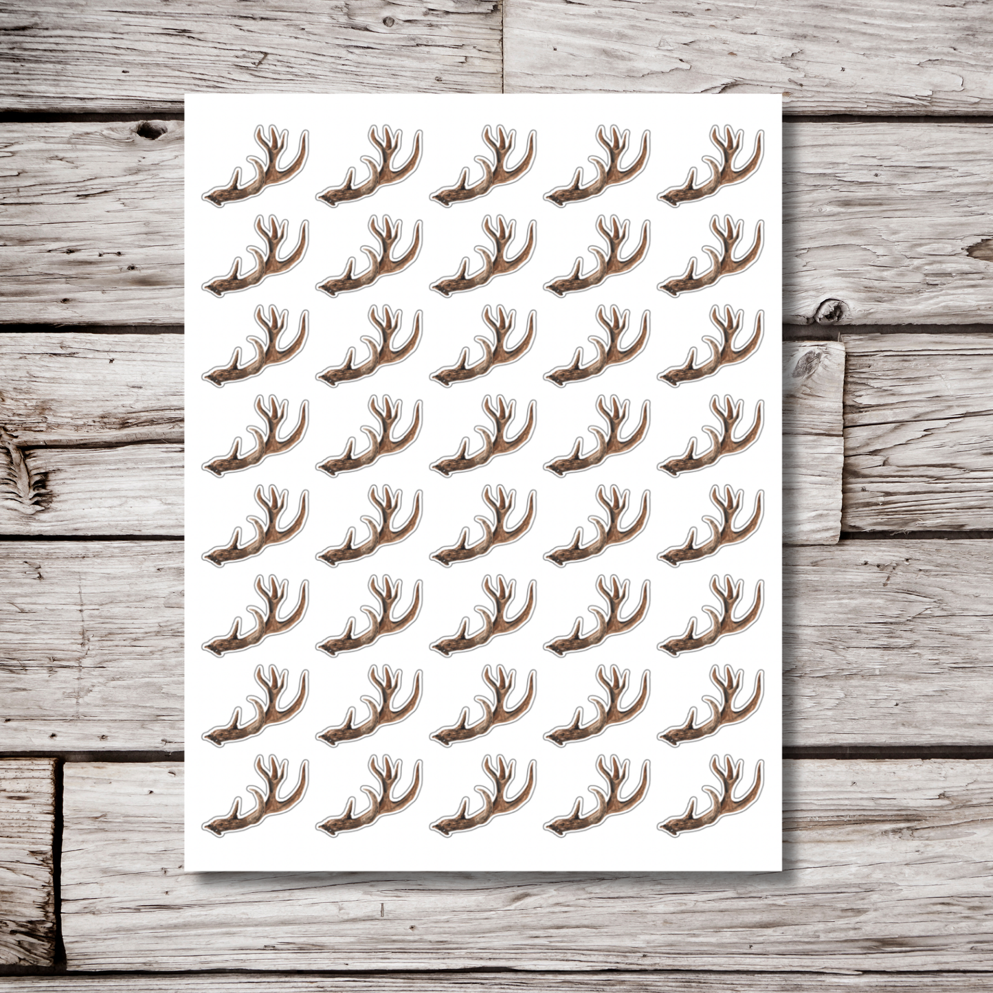 Antler Sticker Sheet