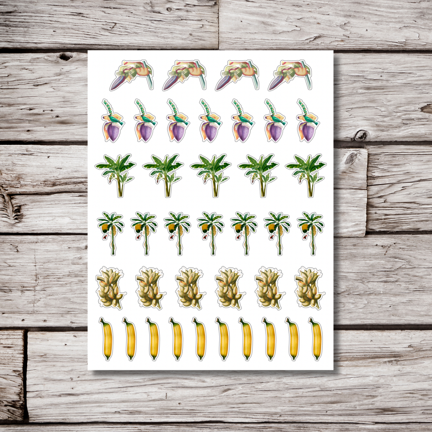 Banana Sticker Sheet