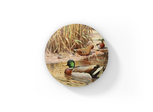 Mallard Duck Pin Back Button, Magnet, Keychain