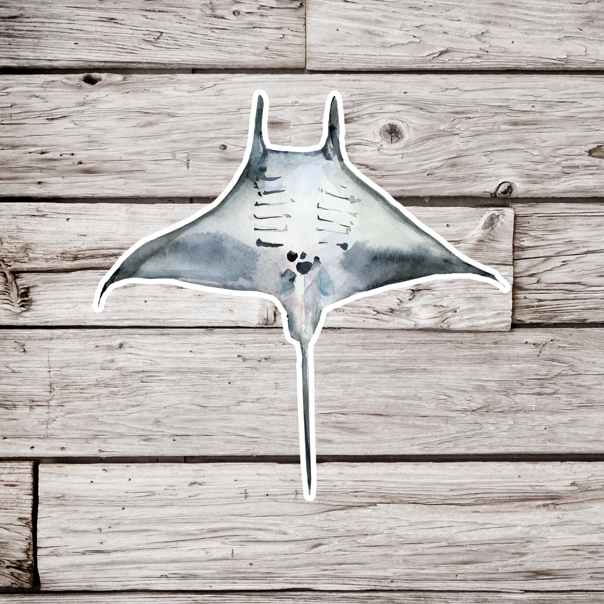 Manta Rays Image For Sticker Manta Ray Sticker – NatureCuts