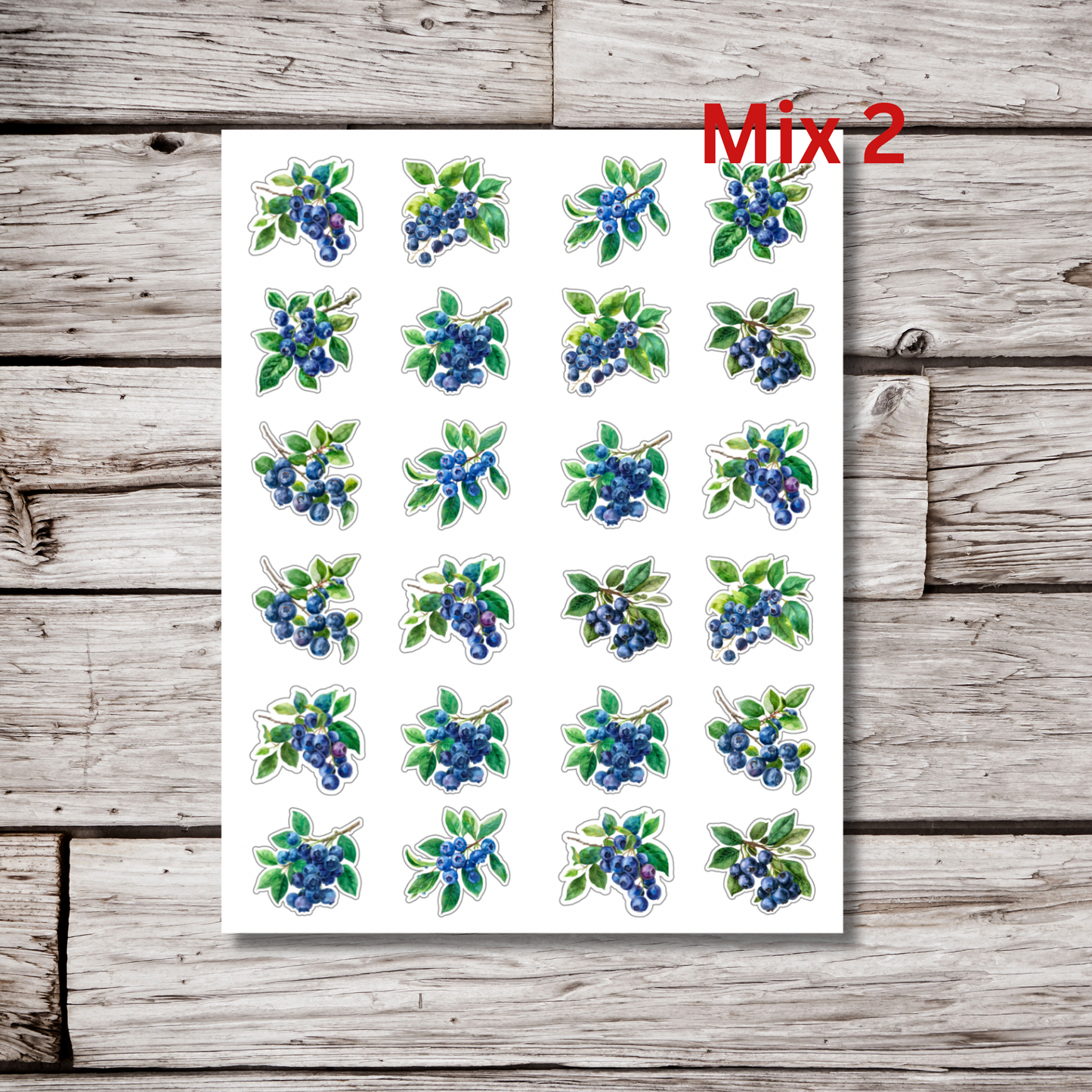 Blueberry Sticker Sheet