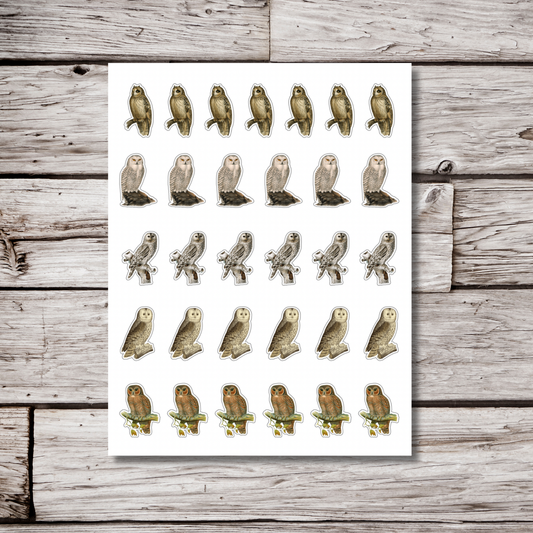Owl Sticker Sheet