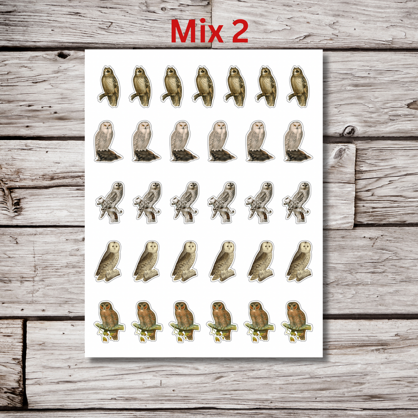 Owl Sticker Sheet
