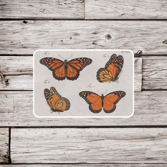 Monarch Sticker , Monarch Sticker, Butterfly Sticker, Monarch Magnet, Butterfly Magnet, Waterproof Sticker