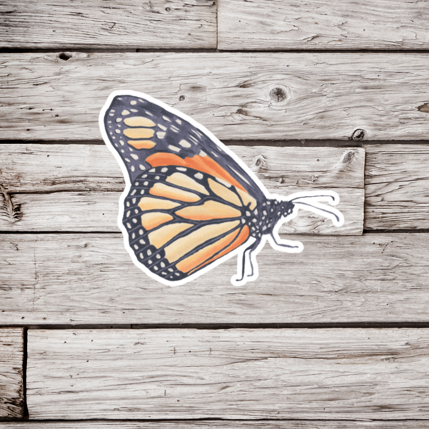 Monarch Butterfly Sticker