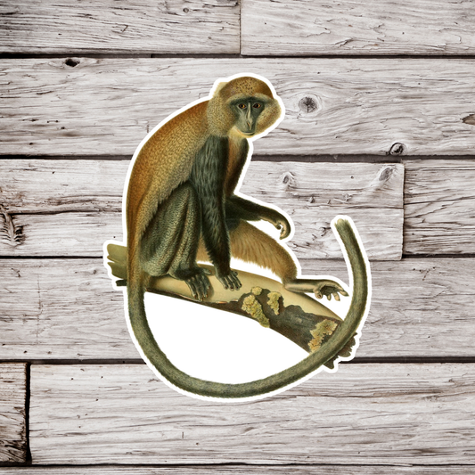 Monkey Sticker