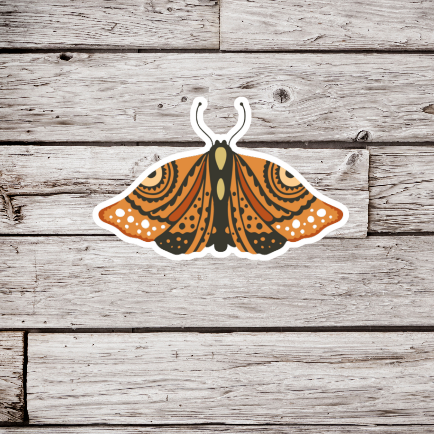 Moth Sticker